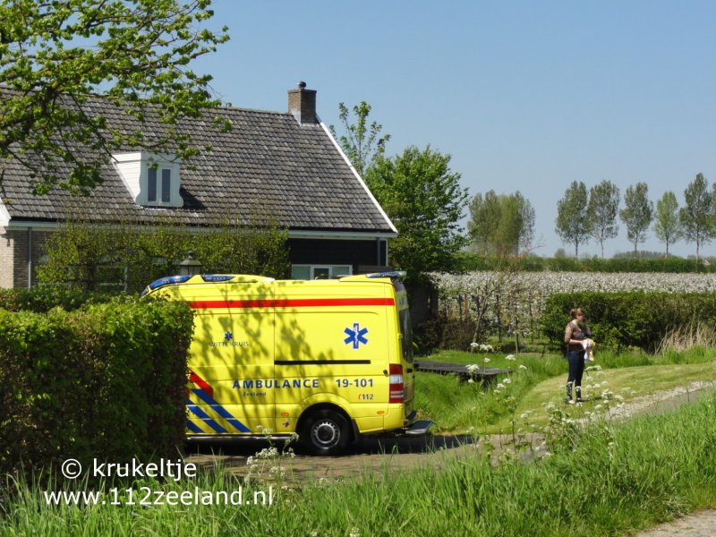 oude zanddijk Heinkenszand 080520161.jpg